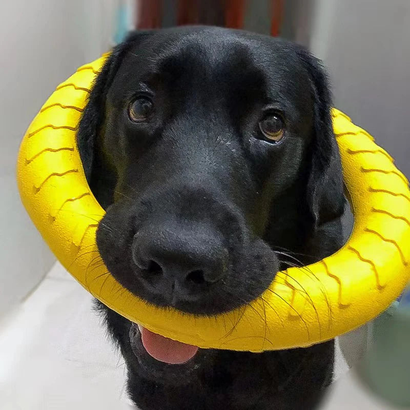 Dog Ring Indestructible Chewing Toy