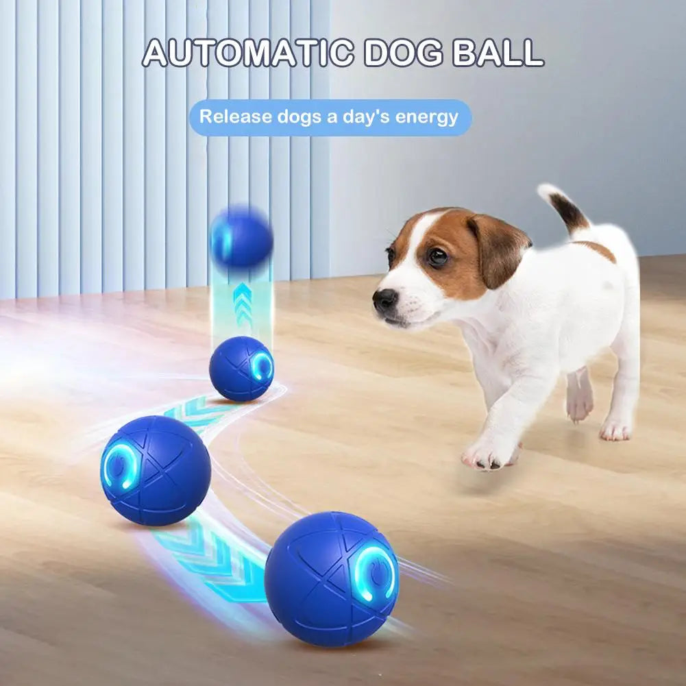 Dog Toy Balls