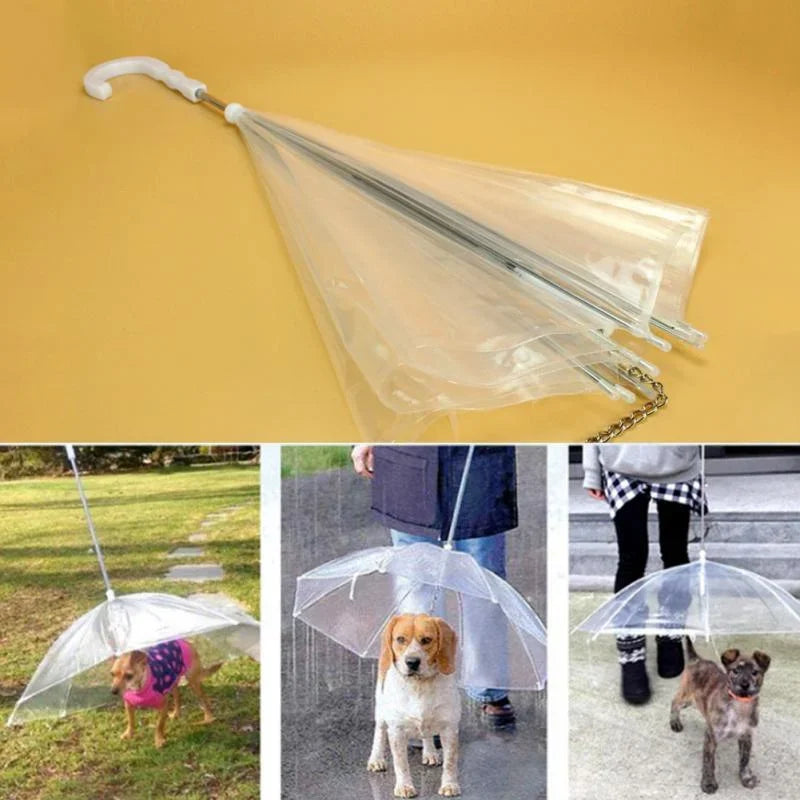 Dogs Leading Umbrellas