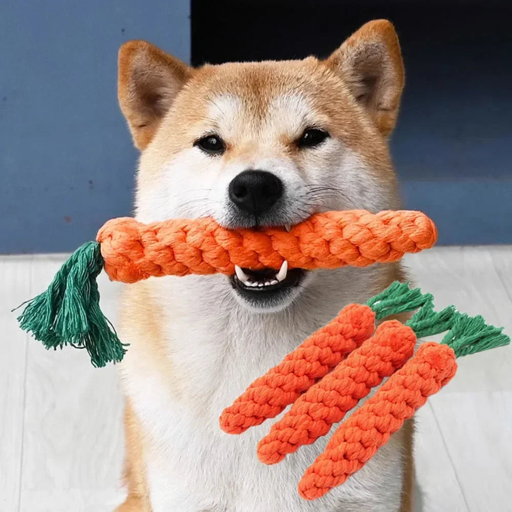 Carrot Dog pet toy bite-resistant