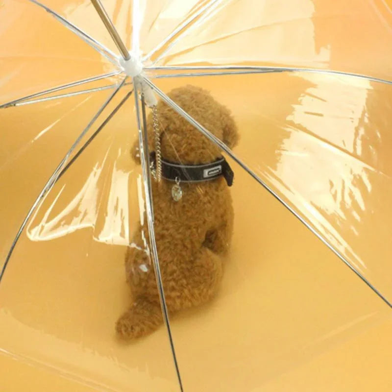 Dogs Leading Umbrellas