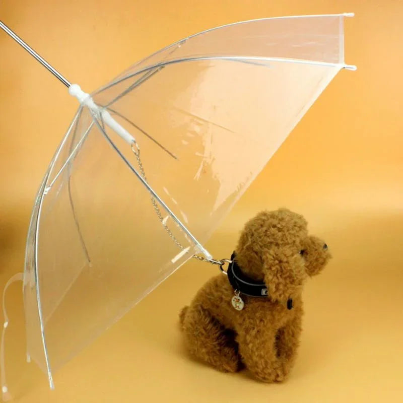 Dogs Leading Umbrellas