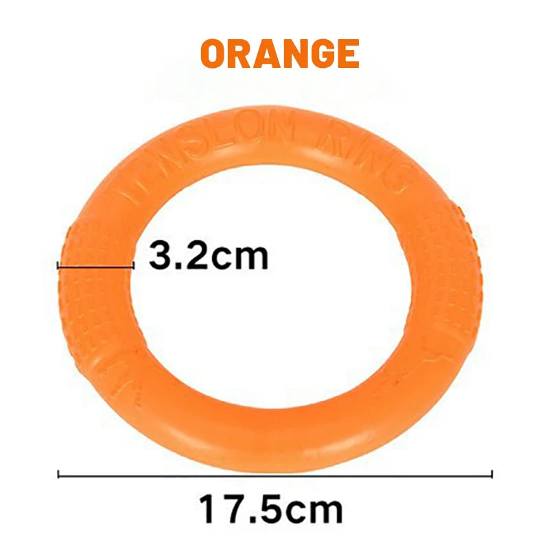 Dog Ring Indestructible Chewing Toy