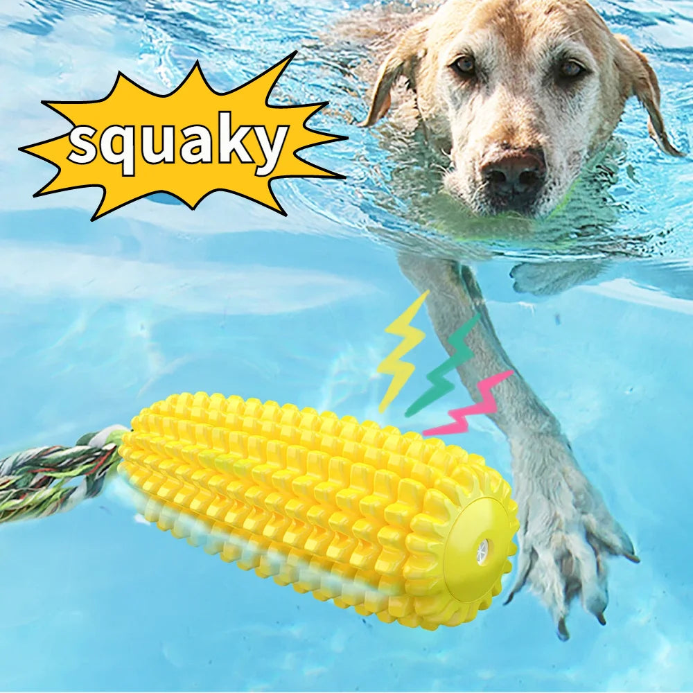 Squeaky Dog Water Floating Toy