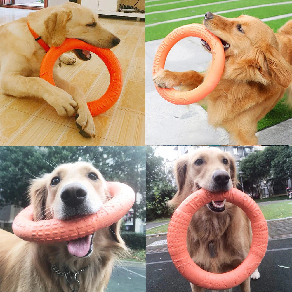 Dog Ring Indestructible Chewing Toy