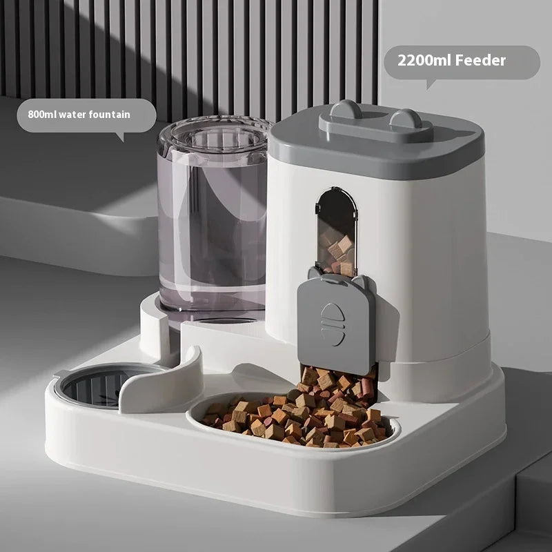 Dog Auto Feeder and Water Dispenser