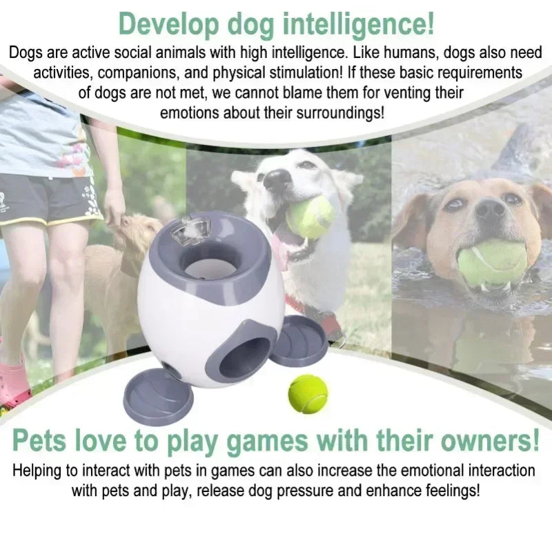 Interactive Dog Treat Dispenser Ball