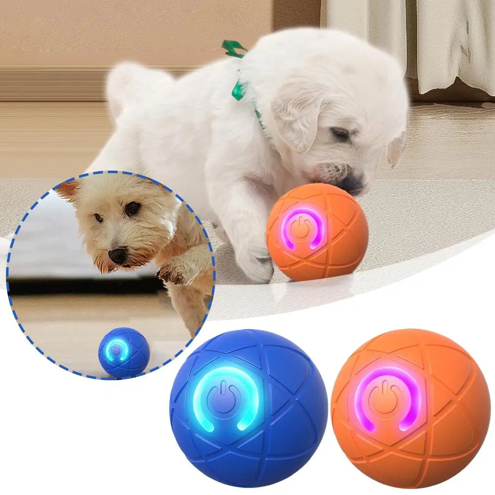 Dog Toy Balls