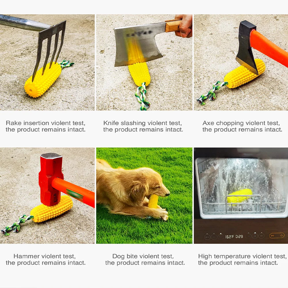 Squeaky Dog Water Floating Toy