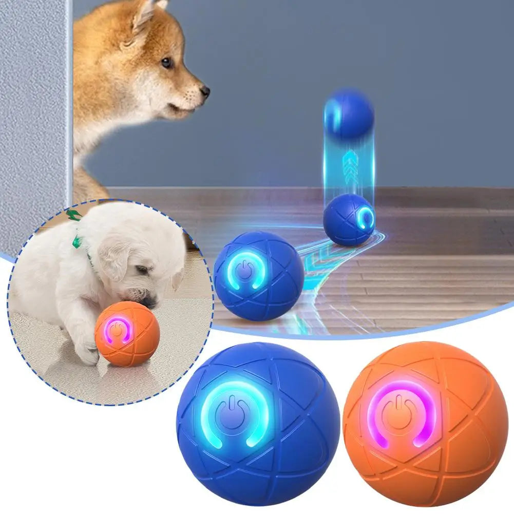 Dog Toy Balls
