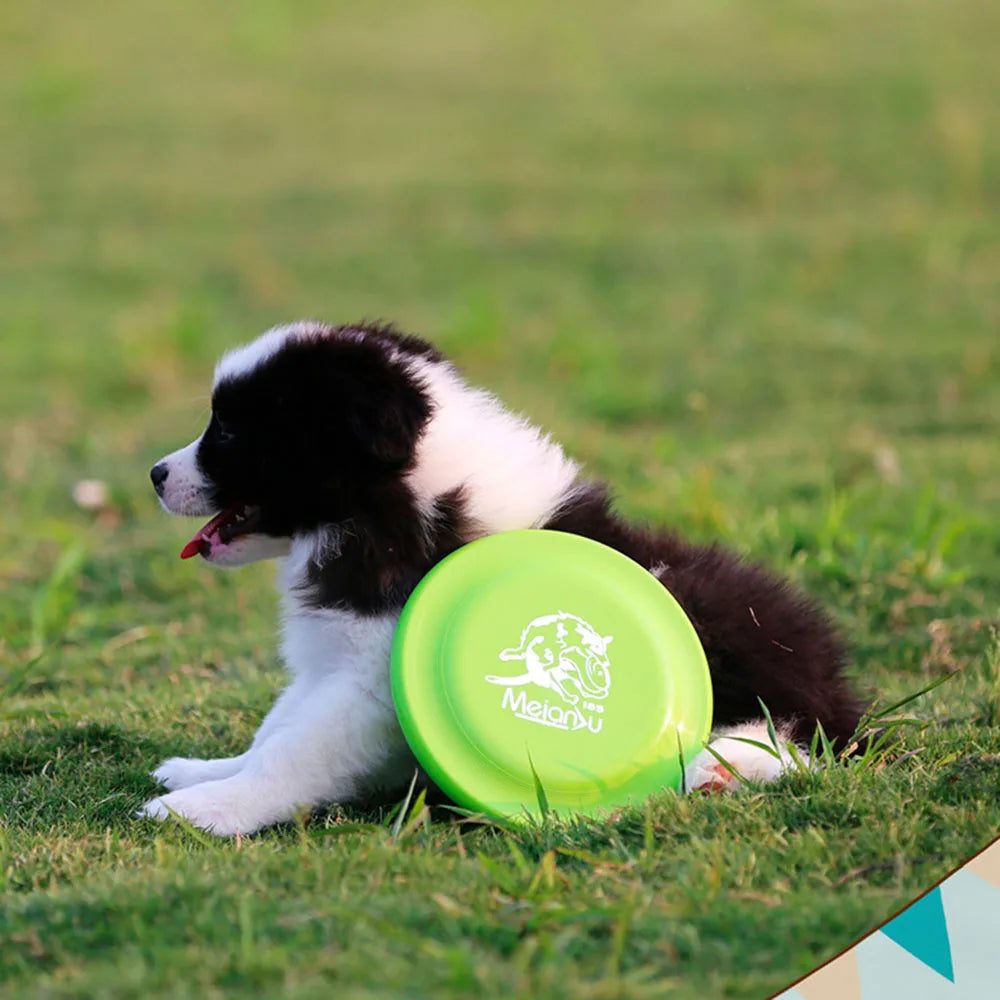 Dog Training Disc - Durable