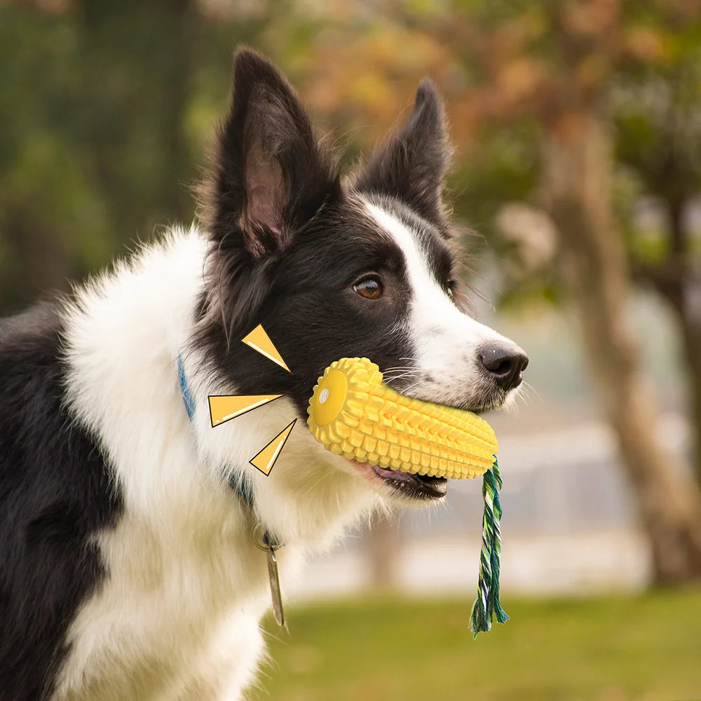 Squeaky Dog Water Floating Toy